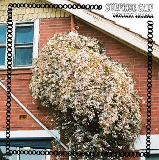 SURPRISE CHEF Daylight Savings CD