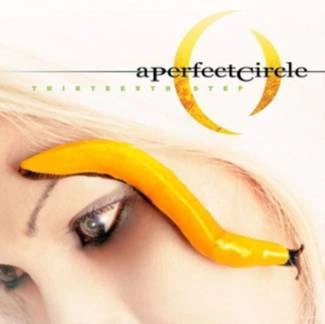 PERFECT CIRCLE, A Thirteenth Step CD