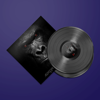LP || Vinyl || Album