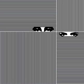 SOKÓŁ | MARYSIA STAROSTA Czarna Biała Magia CD