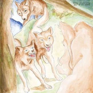 BONNIE "PRINCE" BILLY Wolf Of The Cosmos CD