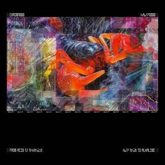 BICEP CHROMA 000 2LP SPECIAL EDITION CASE