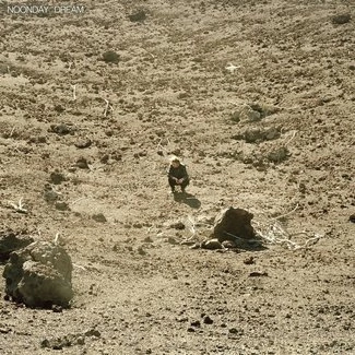 BEN HOWARD Noonday Dream  2LP