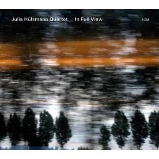 JULIA HULSMANN QUARTET In Full View CD