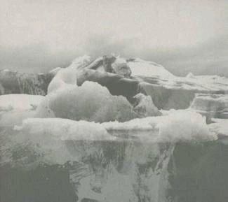 IF THESE TREES COULD TALK The Bones Of A Dying World CD DIGIPAK