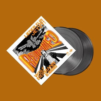 VARIOUS ARTISTS Wolf Biermann Re:imagined - Lieder Für Jetzt! 2LP
