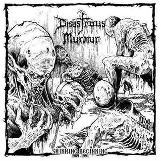 DISASTROUS MURMUR Skinning Beginning CD