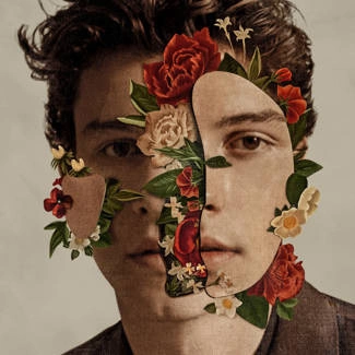 MENDES, SHAWN Shawn Mendes (pl) CD