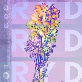 RYD RYD CD