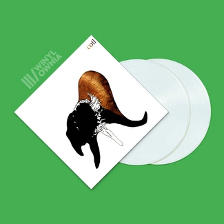 COIL Black Antlers 2LP CLEAR