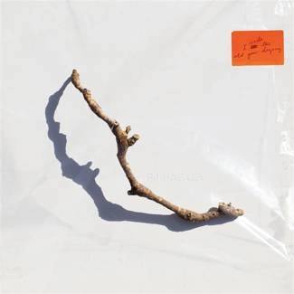 PJ HARVEY I Inside the Old Year Dying CD DIGIPAK
