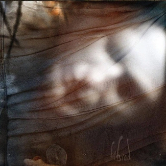 DIN BRAD Dor CD DIGIPAK