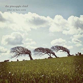 PINEAPPLE THIEF, THE What We Have Sown CD DIGIPAK