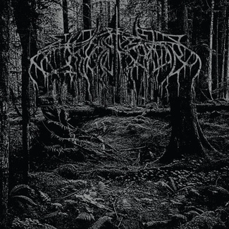 WOLVES IN THE THRONE ROOM 2005 Demo CD