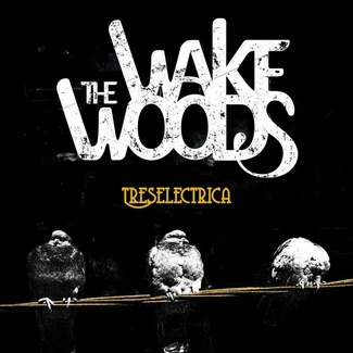 WAKE WOODS, THE Treselectrica CD DIGIPAK