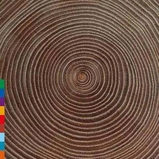 AMJAD ALI KHAN Moksha CD