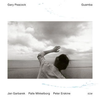 PEACOCK, GARY Touchstones: Guamba CD