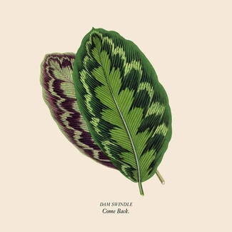 DAM SWINDLE Come Back  12"