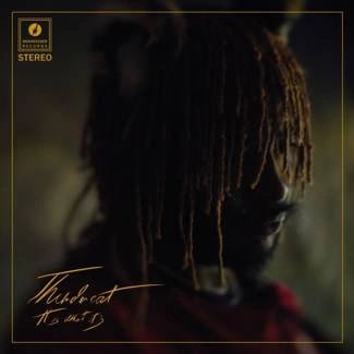 THUNDERCAT It Is What It Is CD