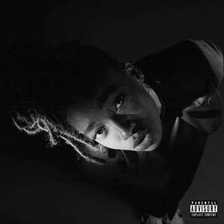 LITTLE SIMZ Grey Area LP