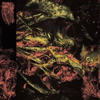 HISSING Permanent Destitution CD DIGIPAK