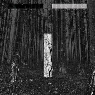 LIEBING, CHRIS Another Day CD DIGIPAK